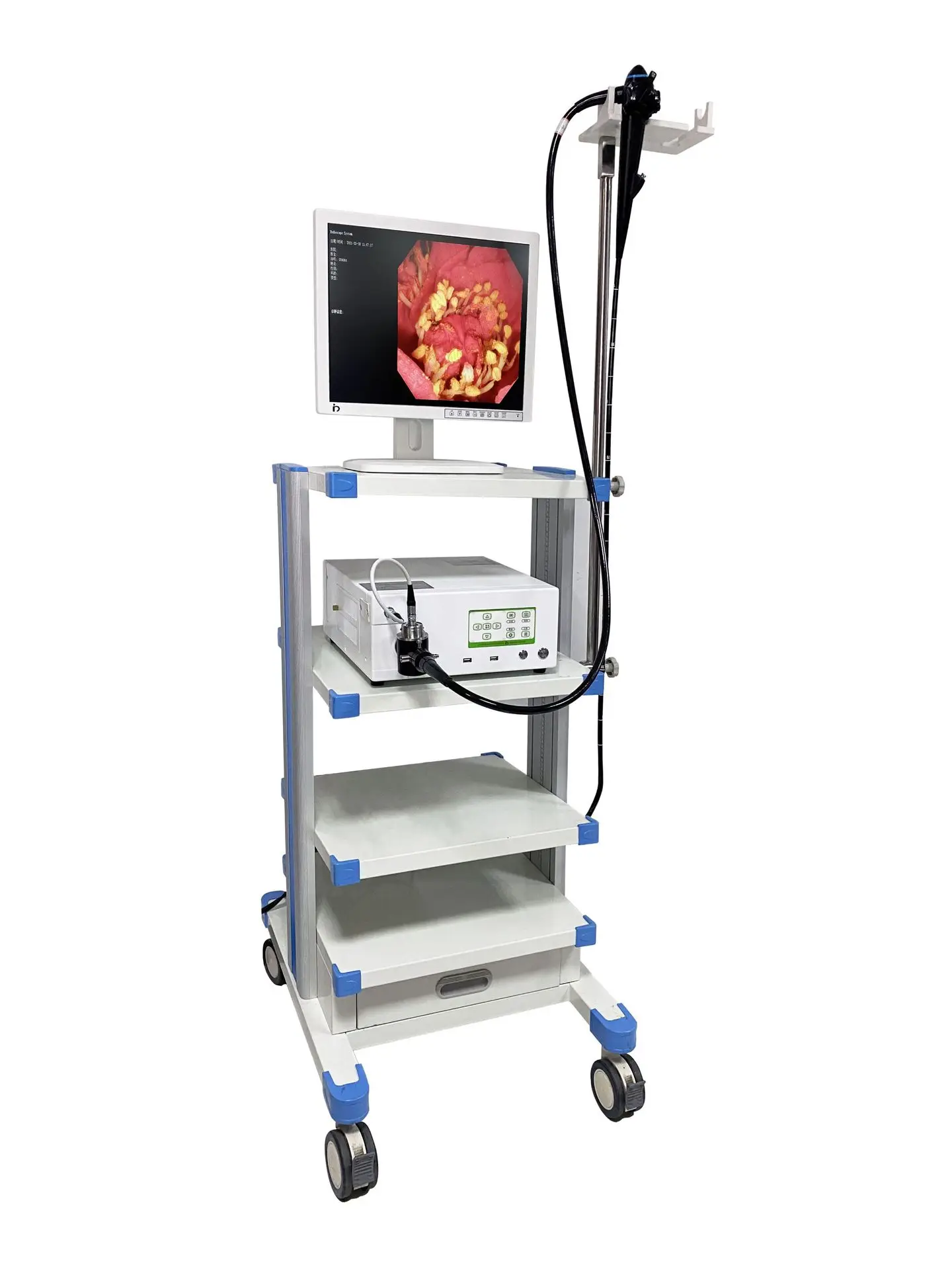 Gastroenteroscópio eletrônico para animais de estimação Sistema de endoscópio médico para animais Gastroenteroscópio veterinário