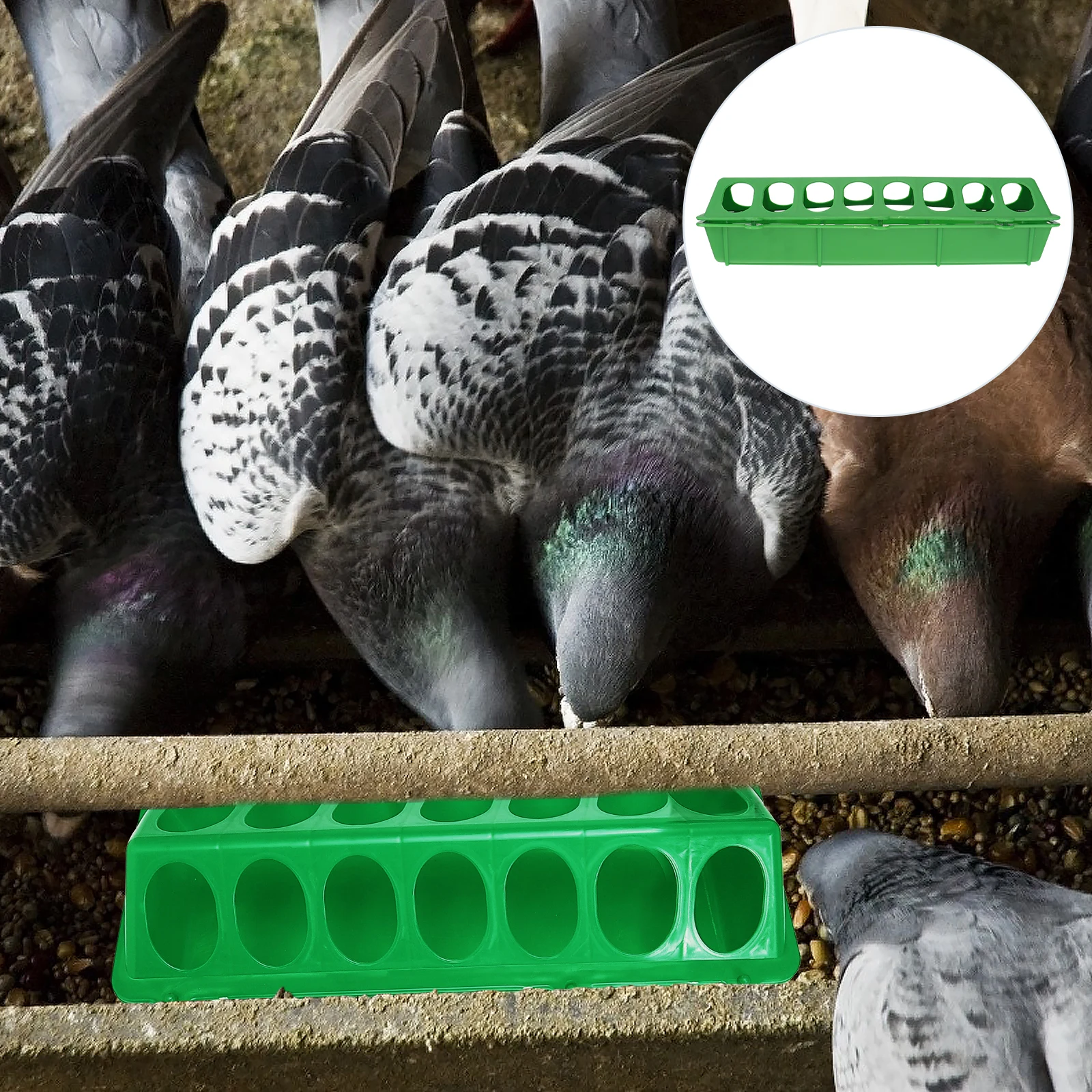 

Anti-swing Food Trough Pigeon Feeder Design Easy Clean Safe Durable Birds Container Poultry Feeder Trough Outdoor Pet