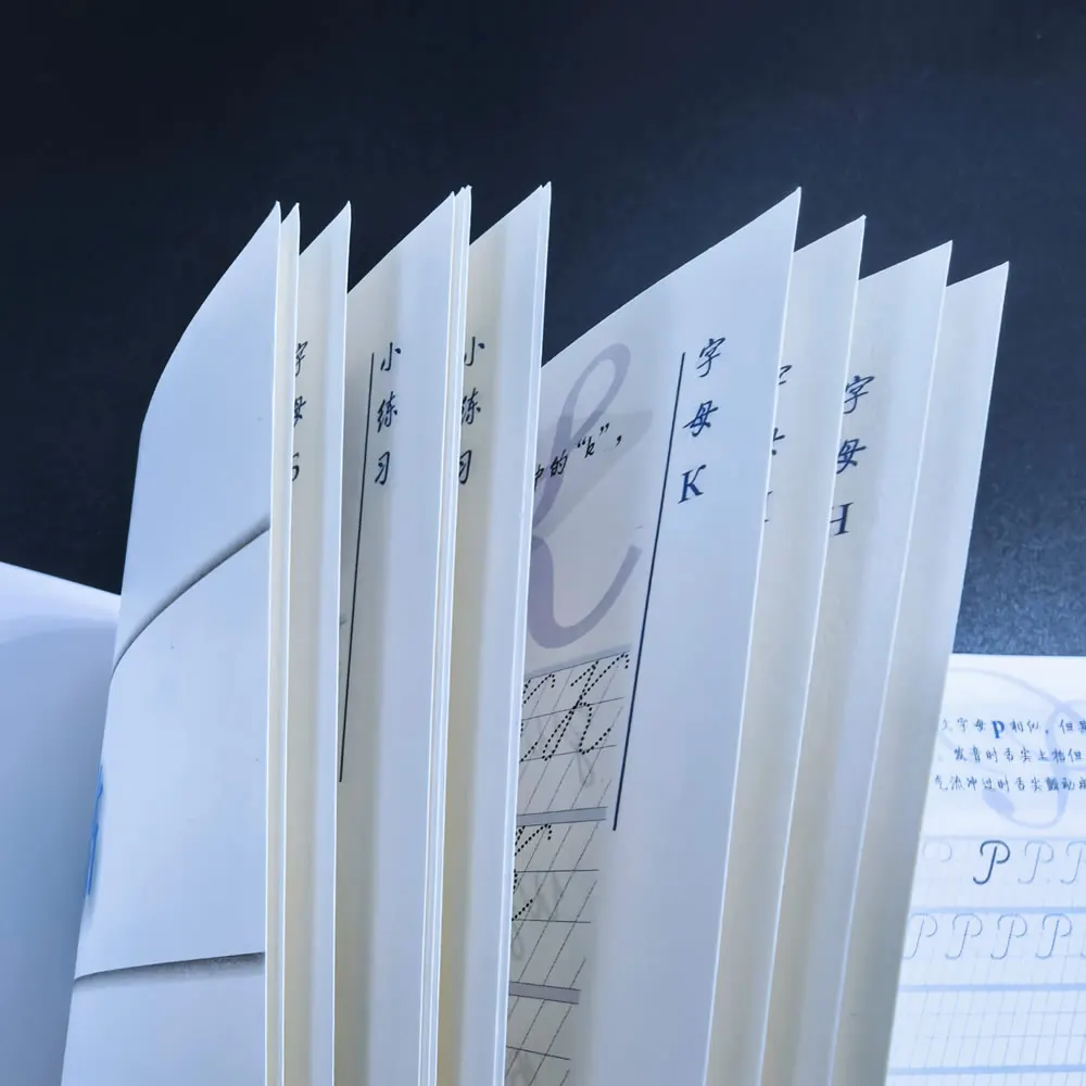 Books Russian language Auto Dry Repeat Practice copybook Russia Students Calligraphy Pen Pencil Exercise Copy Book Libros Livros