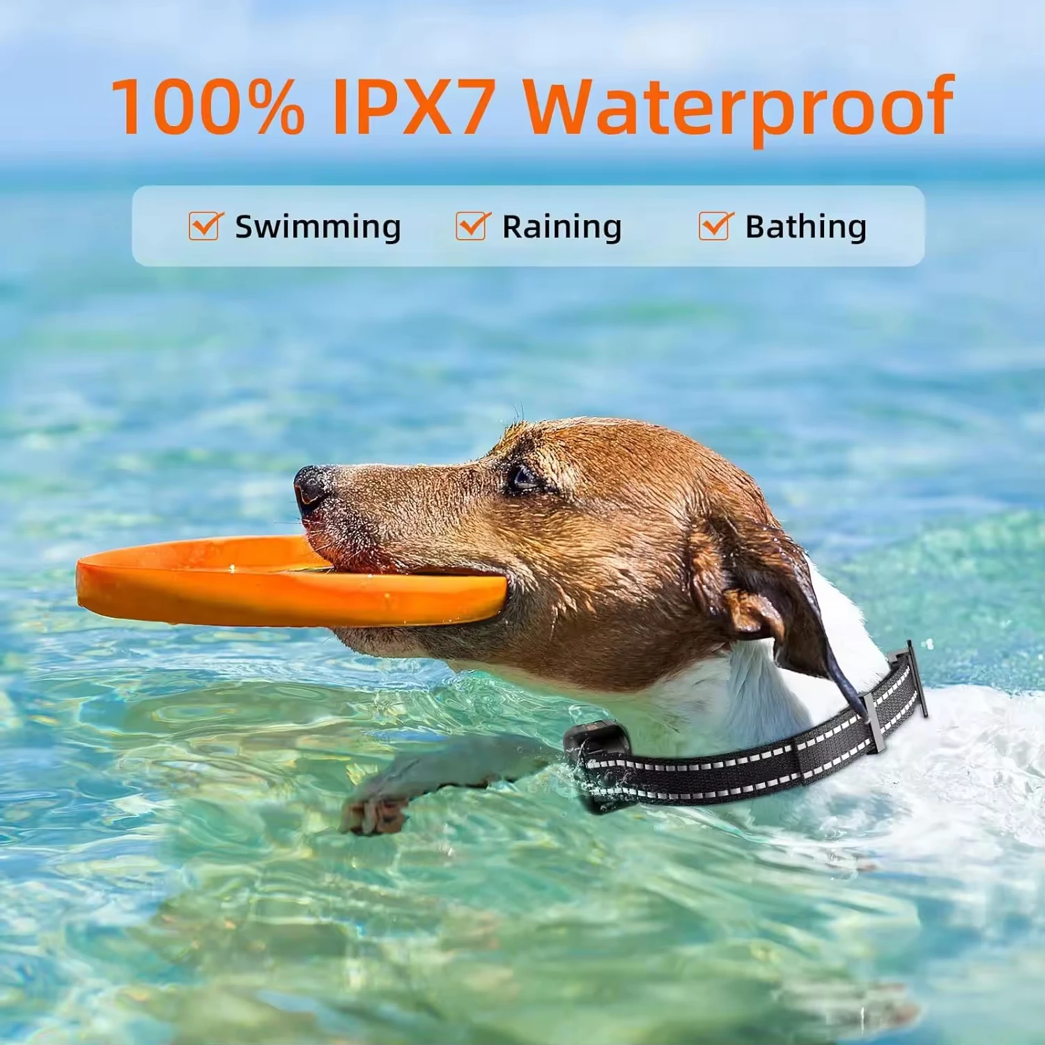 Thumbnail 3 - #66 Cheap Pet Collars Worth Buying