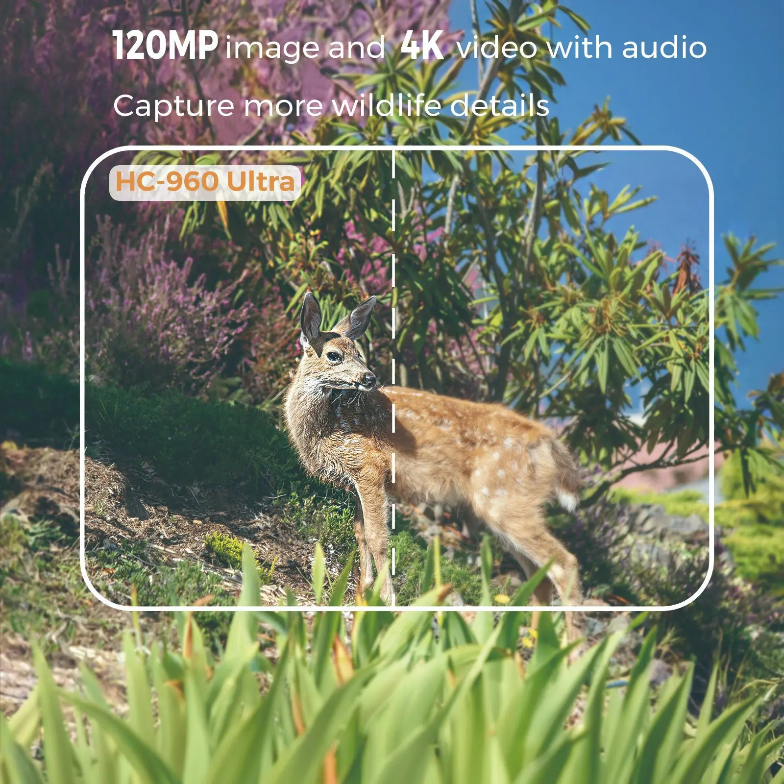 في الهواء الطلق 4K فيديو 120MP صور 4G APP الهاتف الحياة البرية كاميرا تعمل بالأشعة تحت الحمراء للرؤية الليلية نطاق IP66 فخ مقاوم للماء للصيد/الأمن