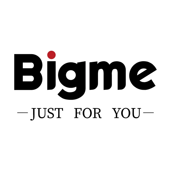 Bigme B751/B751C オリジナル保護ケース用静電容量式スタイラス