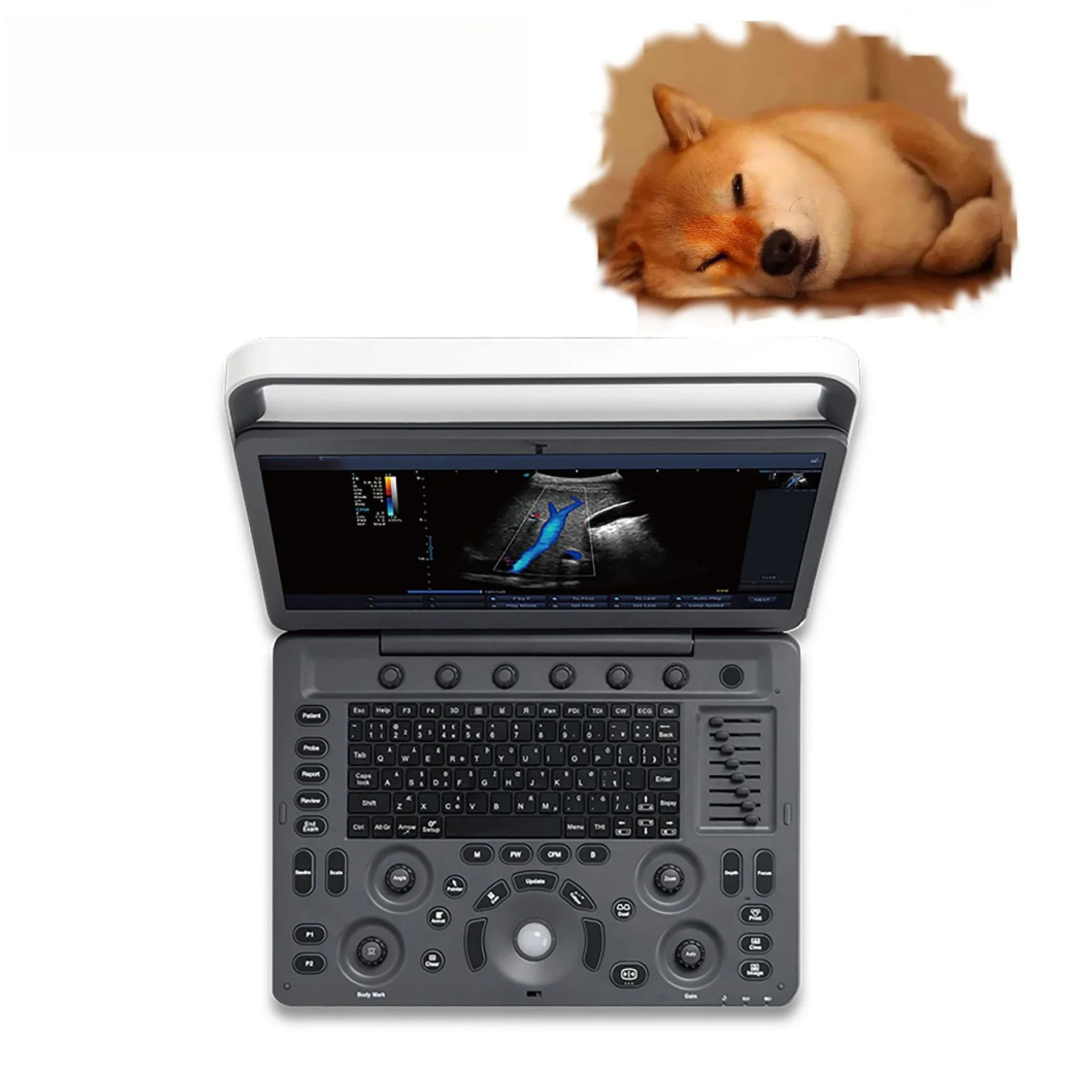 Cross-border export of 15.6 E2V veterinary B-ultrasound machine