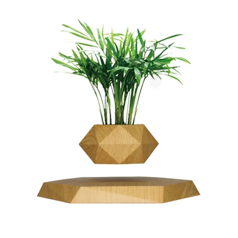 

Plants potted indoor green plants simulation can be planted succulent flower seedlings DIY European style ins wind ornament gree
