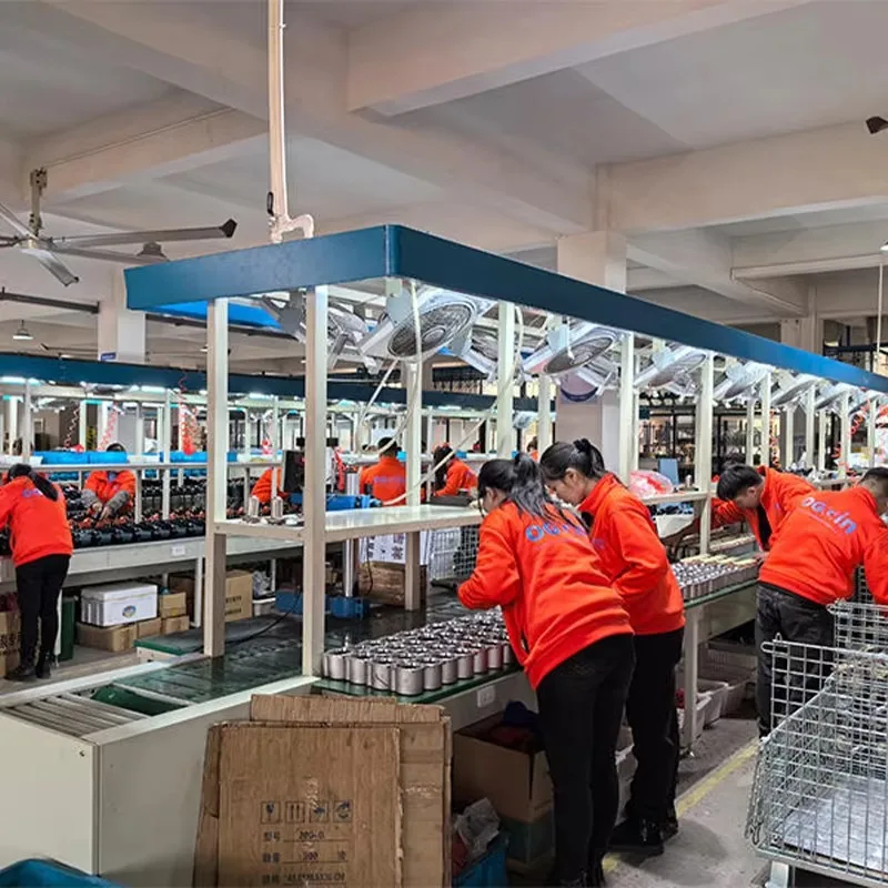 220V House Automatic Self Priming Self-Priming Water Permanent Magnet Intelligent Booster Pump