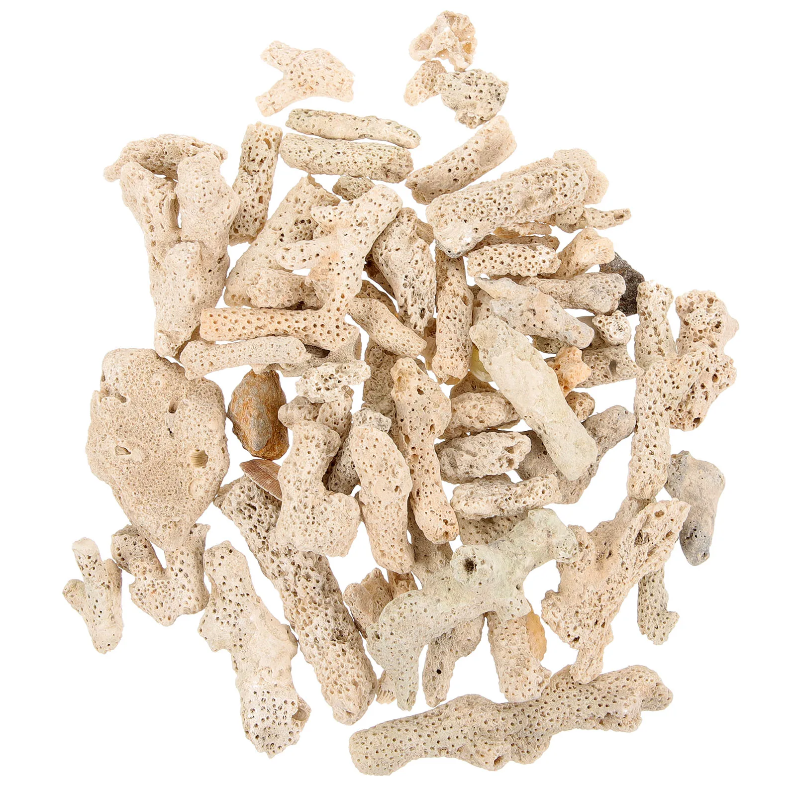 

1Set Coral Bone Aquarium Filter Media High Density Natural Porous Media for Fish Tank Freshwater Saltwater Pond Filtration