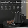 110V/220V 전기 주전자 1.0L 구즈넥 핸드 브루 커피 포트 1200W 급속 가열 온도 조절 냄비 스테인레스 스틸 라이너 2