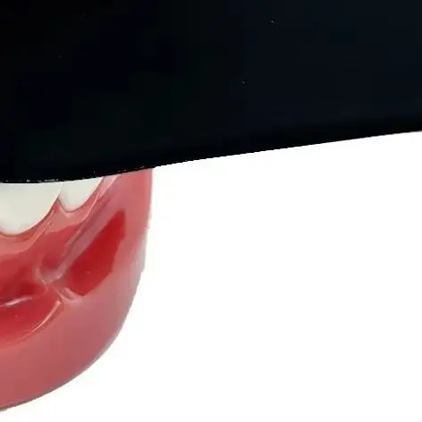 

Dental Photography Black Background Plate Stainless Steel Autoclavable Contrast Plate for Oral Cheek Palate