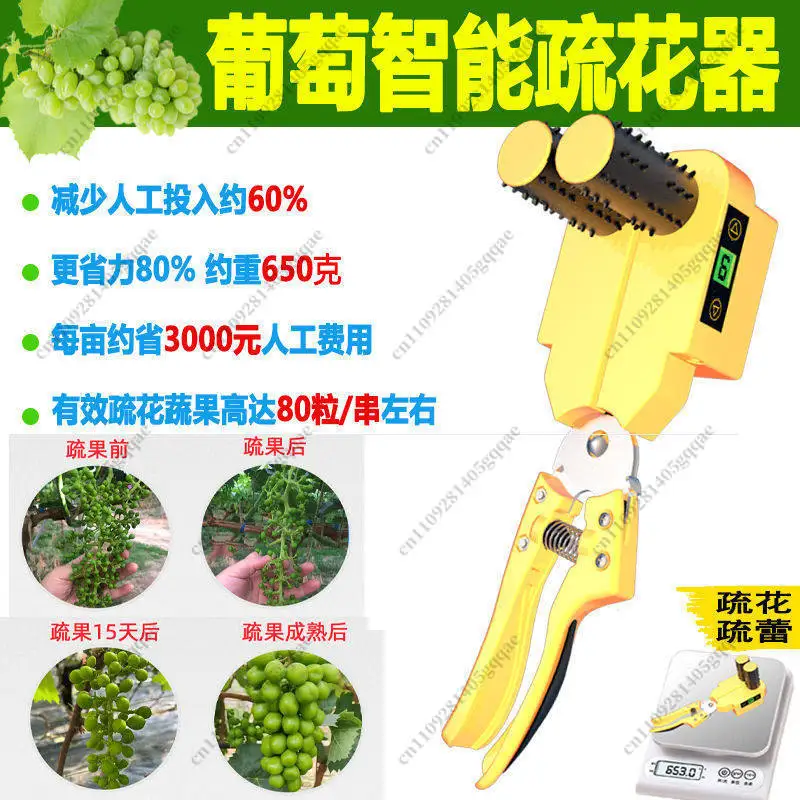 Elektrische Traubenblüten-Verdünnungsmaschine für Sunshine Rose Knospen- und Beeren-Trimmwerkzeug – Detail 2