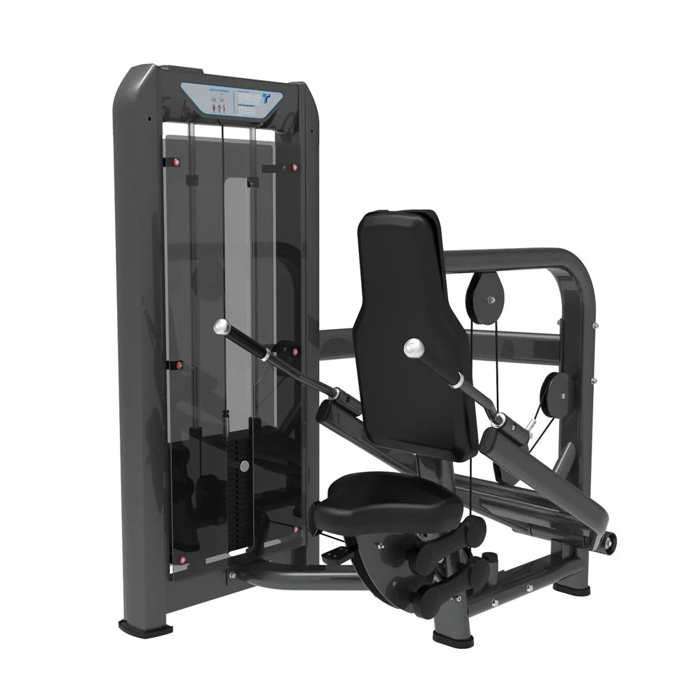 Professional Gym Machine Triceps Dip Pin Loaded Fitness Equipment for Commercial Gym