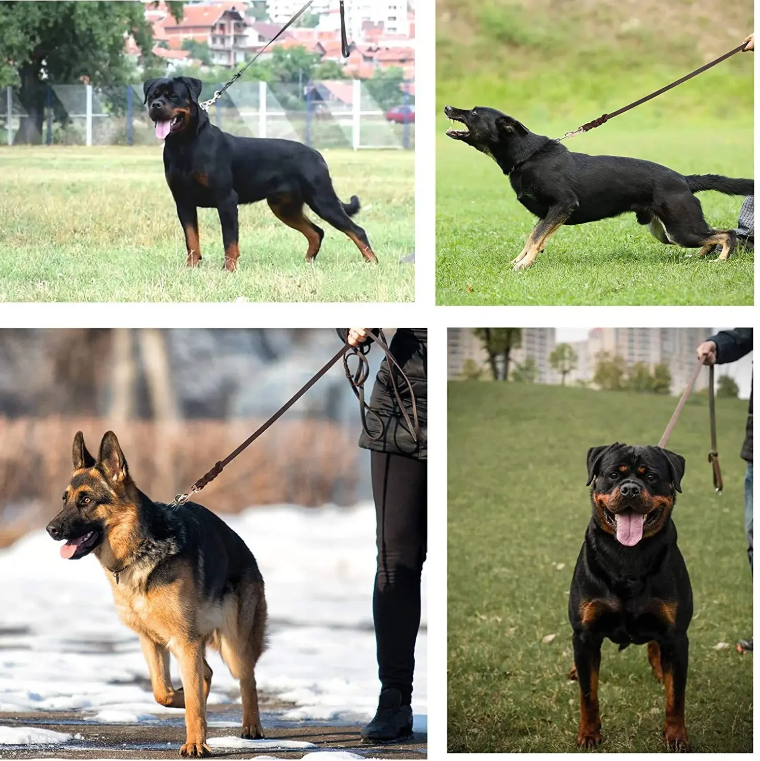 Hundeleine aus echtem Leder, lange Leinen für Hunde, geflochtenes Haustier-Walking-Training führt braun-schwarze Farben für mittelgroße und große Haustiere – Detail 19