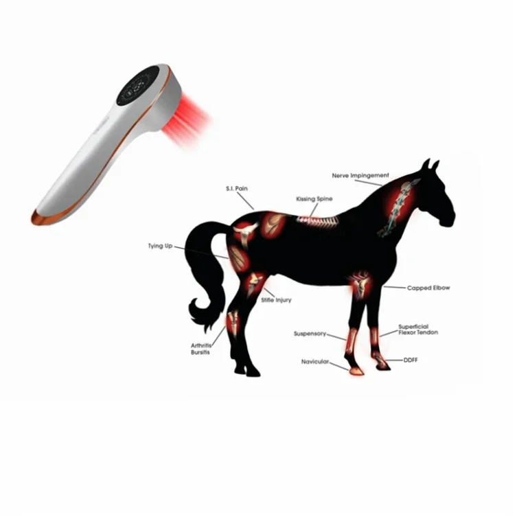 Equine Cold Therapy… - image