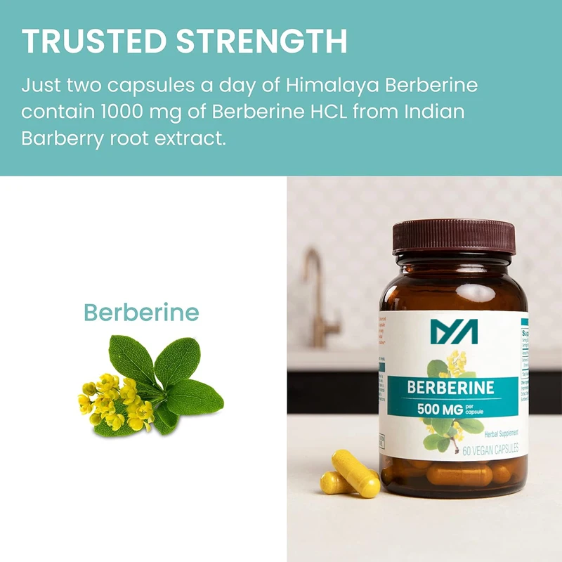 Berberine promotes metabolism and cholesterol support, gastrointestinal and immune support, vegetarian, gluten free