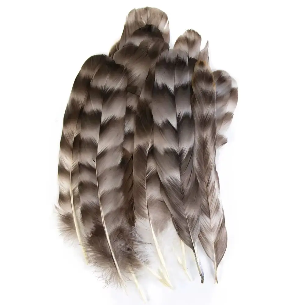 15-20cm 6-8 Inch Natural Chicken Feather Wings 10/50/100/200/500Pcs for DIY Craft Jewelry Making Carnival Costume Decoration