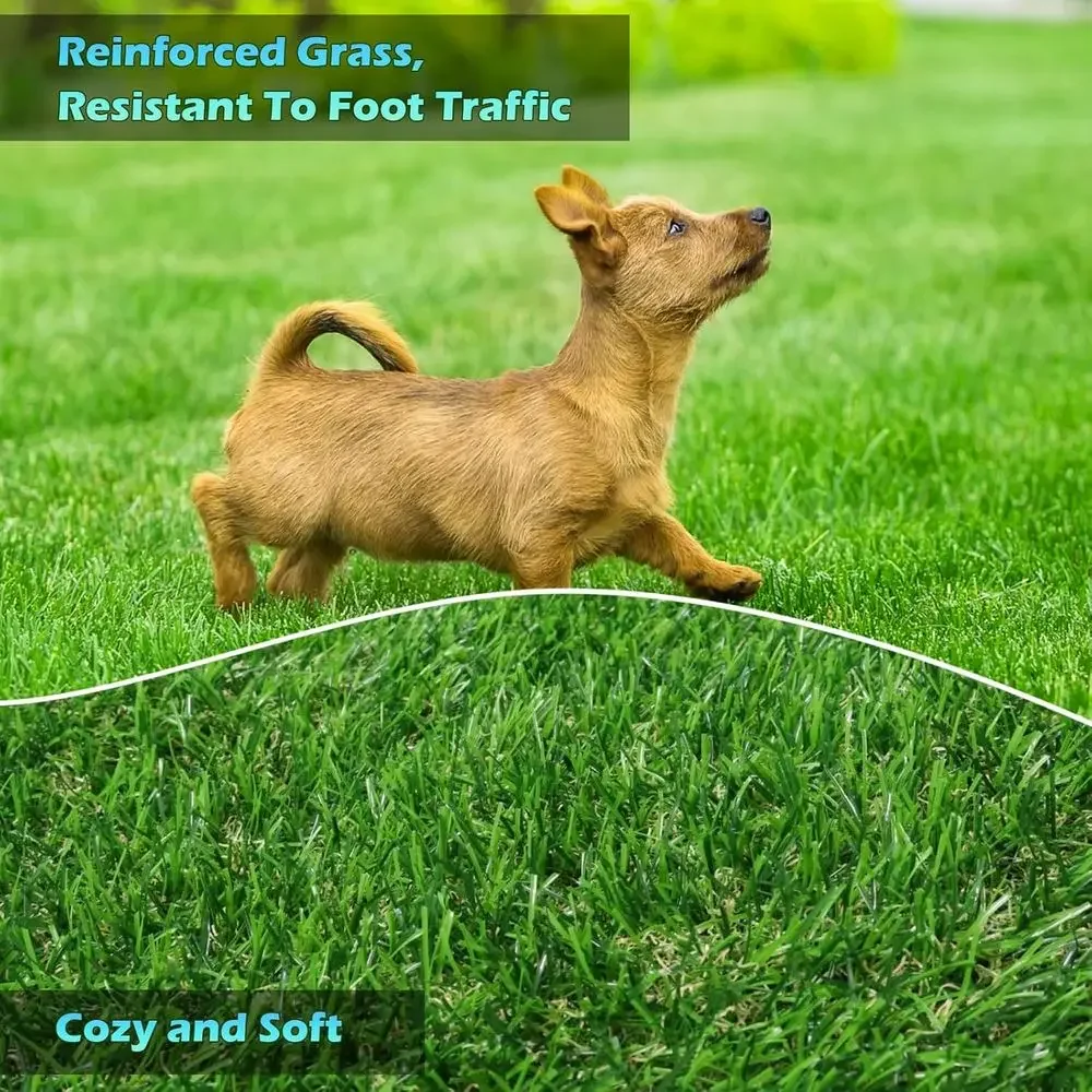 Realistic Artificial Grass Carpet 0.8 Pile for Outdoor and Indoor Use, Drainage-Friendly, Suitable for Patios, Backyards, and Ba