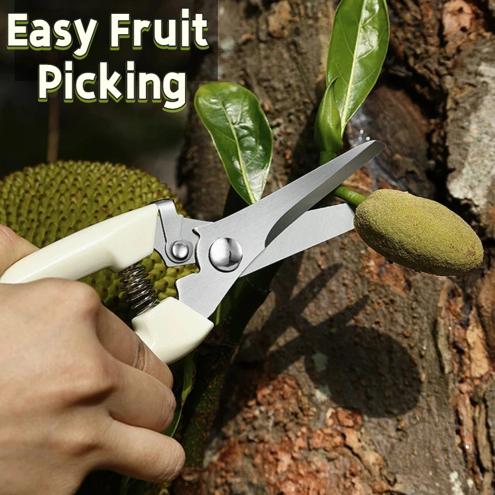 전문가용 가지치기 가위 스테인리스 다기능 가위 과일 따기 꽃 정원 가위