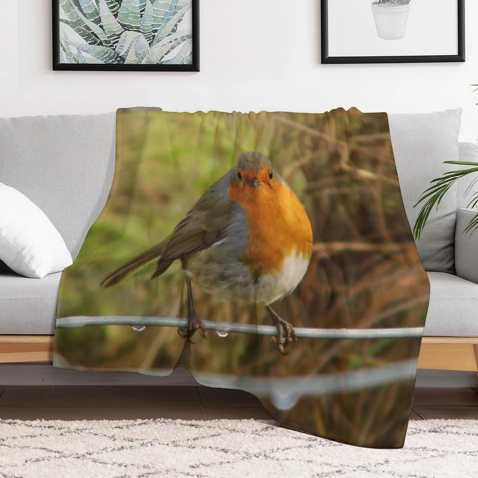 Cute Robin Bird On a Fence Photograph Throw Blanket Personalized Gift Summer Beddings Blankets