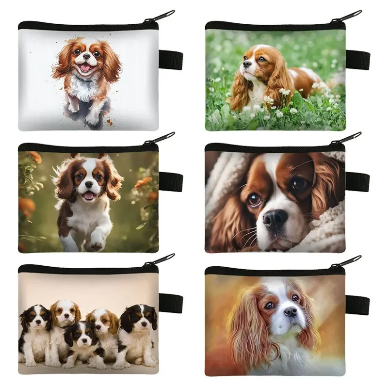 

Cute Cavalier King Charles Spaniel Dog Print Coin Purse Wallet Card Earphone Holder Money Coin Bag Small Purse Zipper Pouch