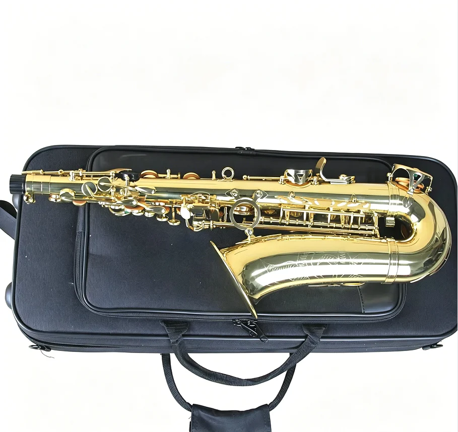 Professional E Flat Alto Saxophone Brass Lacquered Gold Woodwind Instrument Complete Kit with Cleaning & Maintenance Accessories