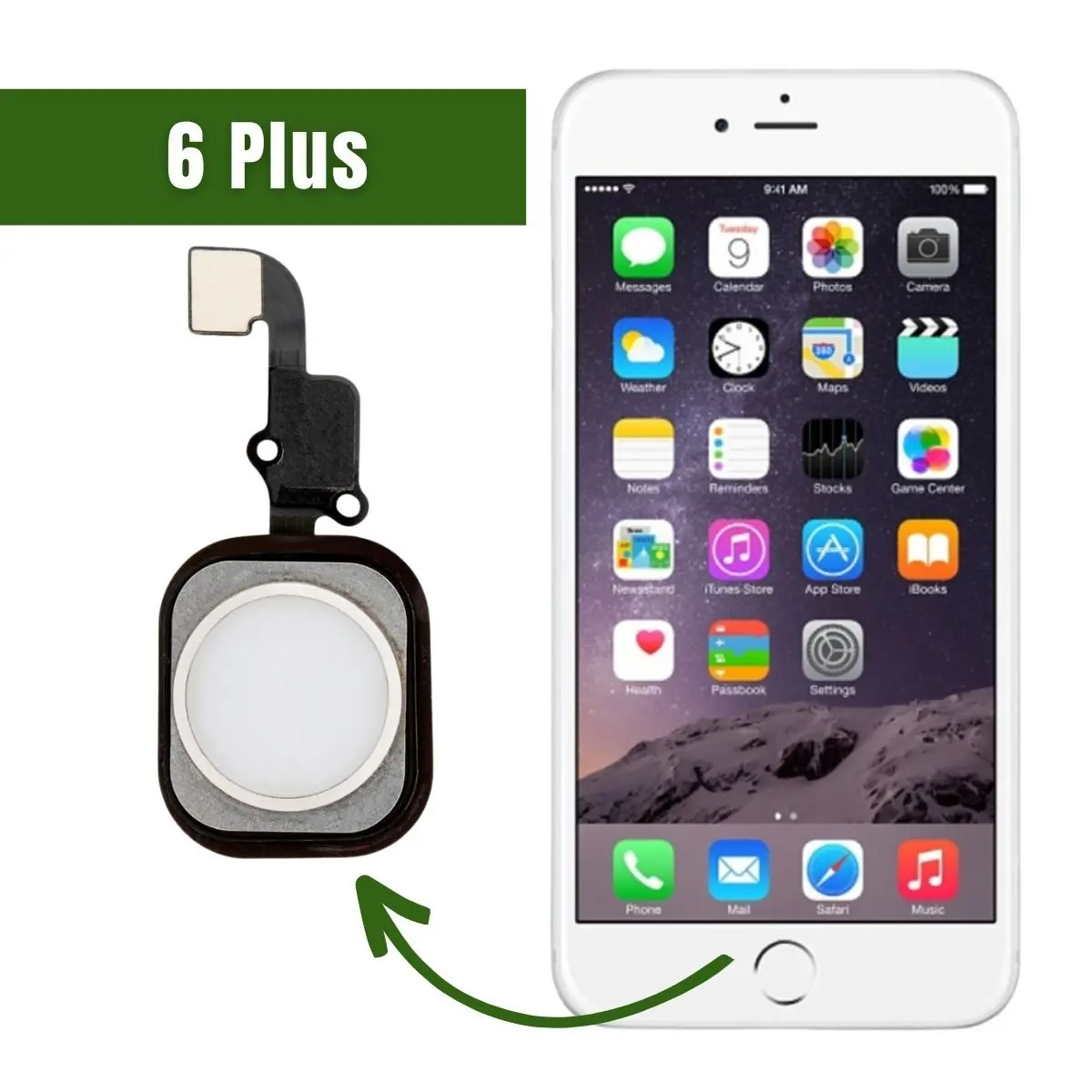 Static home button compatible with iPhone 6 6 Plus Silver