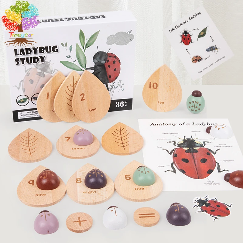 Treeyear Wooden Counting Ladybugs Montessori Counting Toys for Toddlers Learning Education Toy