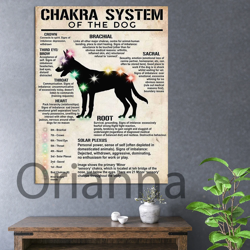 

Modular Poster Pictures Wall Art Chakra System Of The Dog Anatomy Canvas Painting Printed Modern Living Room Vintage Home Decor