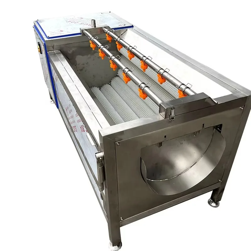 Small Scale 300kg/h Industrial Use Carrot Radish Cleaning Machine With Soft Brushes