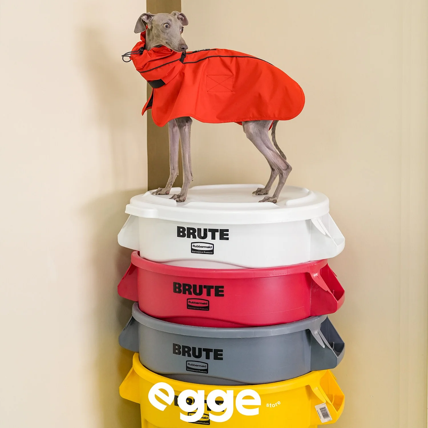 

Легкий водонепроницаемый красный дождевик-худи EGGE для итальянских грейхаундов, модный современный водоотталкивающий пончо для собак пород Бедлингтон.