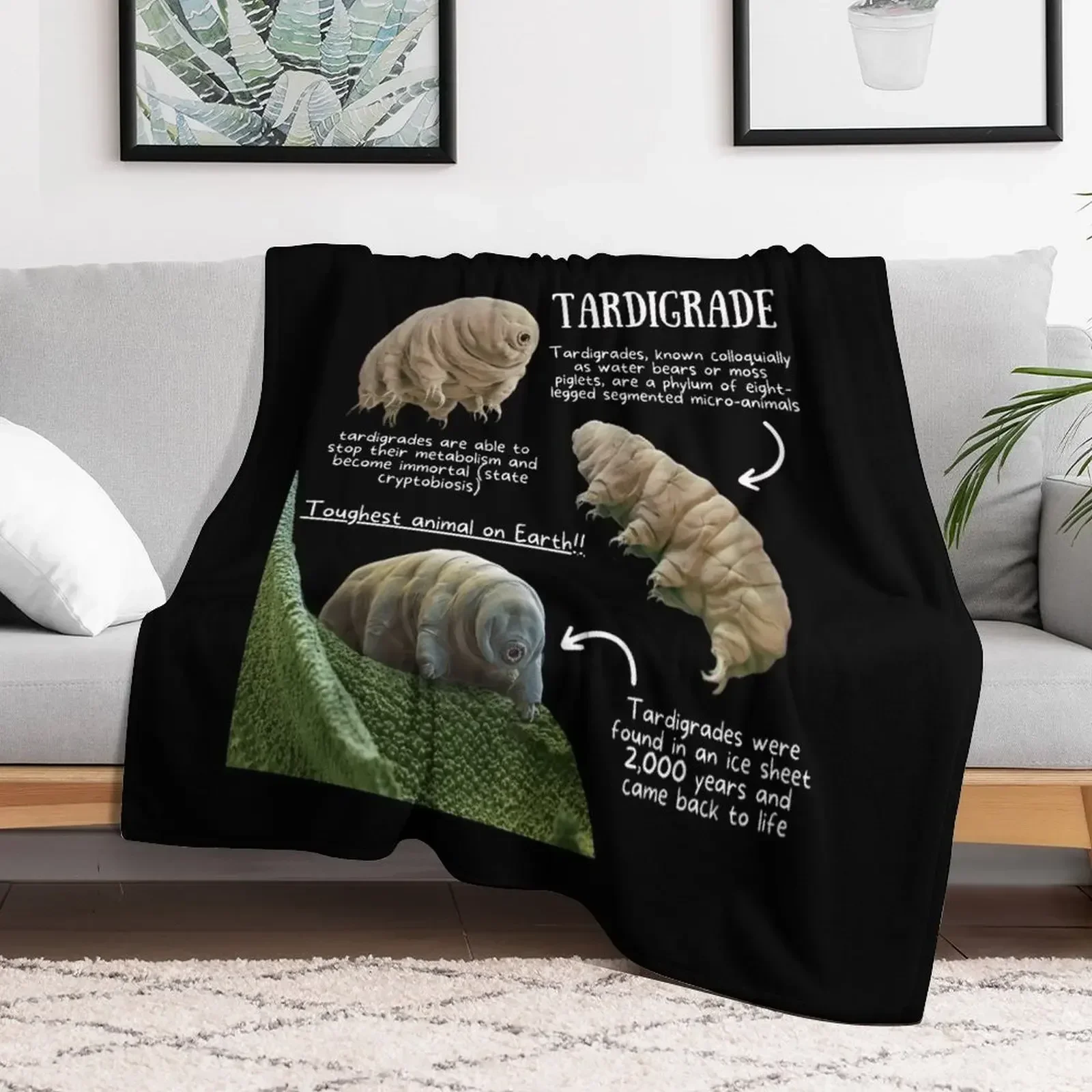 Tardigrade Fun Facts Throw Blanket Warm heavy to sleep Blankets