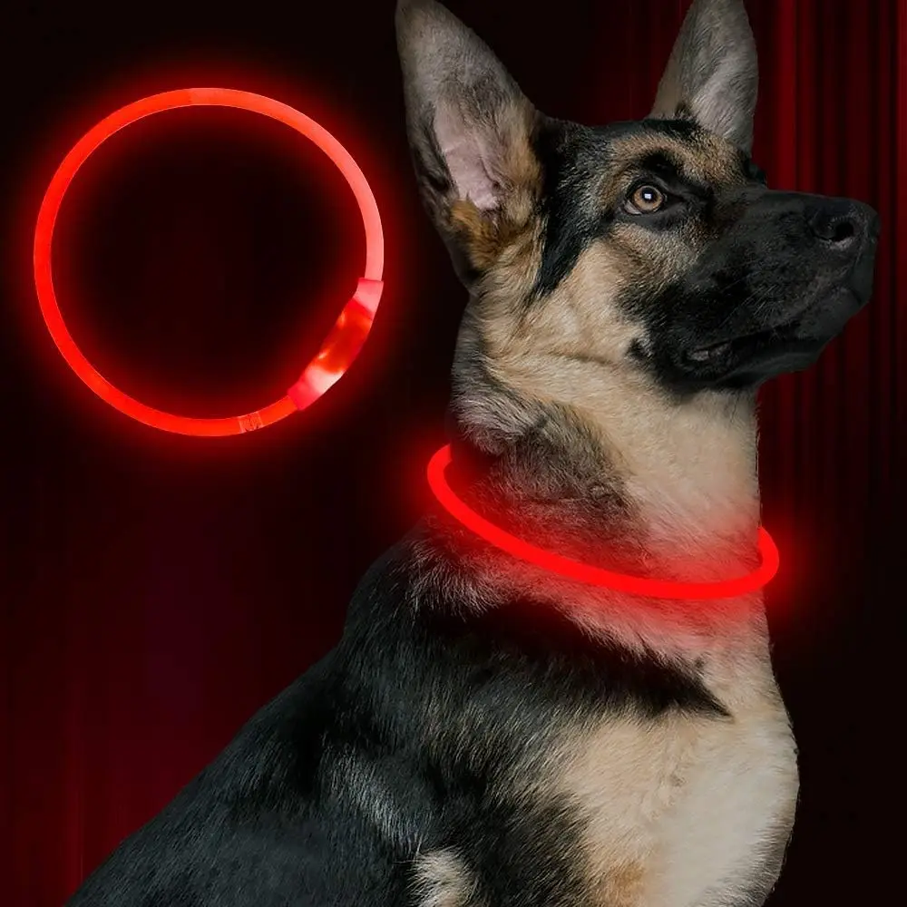 Coleira de cachorro led usb recarregável flash colar de segurança para animais de estimação leve faz seus cães amados ser visto à noite para cães