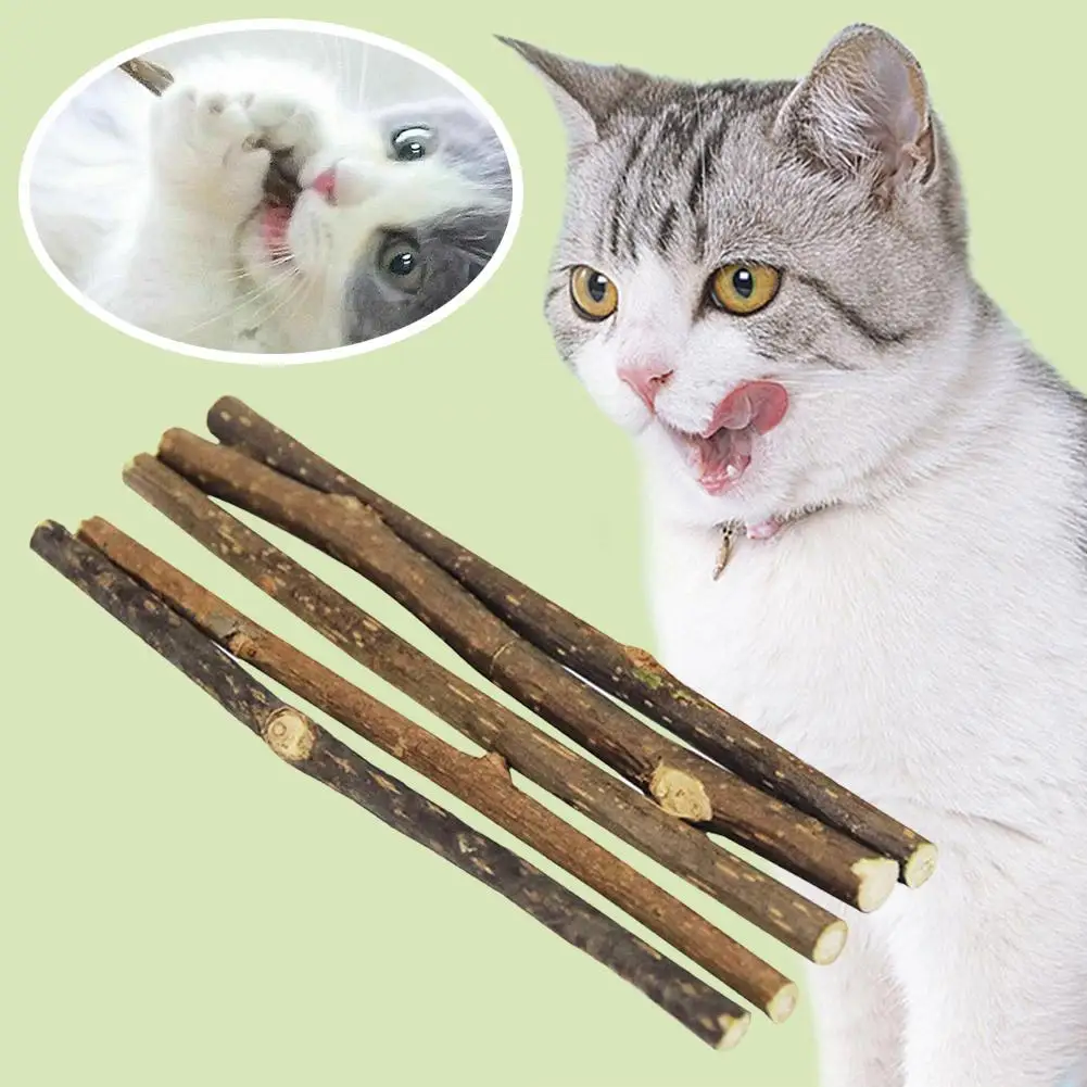 Natural Cat Nip Pet Cat Molar Toothpaste Stick Actinidia Sticks Snacks Products Silvervine Pet Teeth Pet Cat Fruit Cleaning V0D4