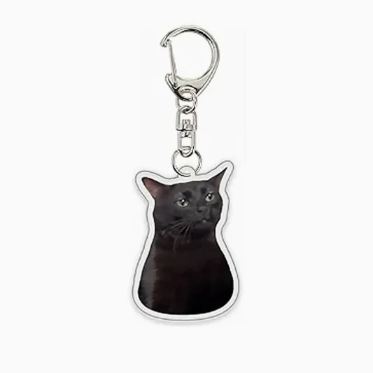 Grappige Cat Memes-serie sleutelhanger Student Gift Bag Lanyard Damestas hanger sleutelhanger Leuke dingen Goedkoop cadeau voor beste vrienden - afbeelding 1