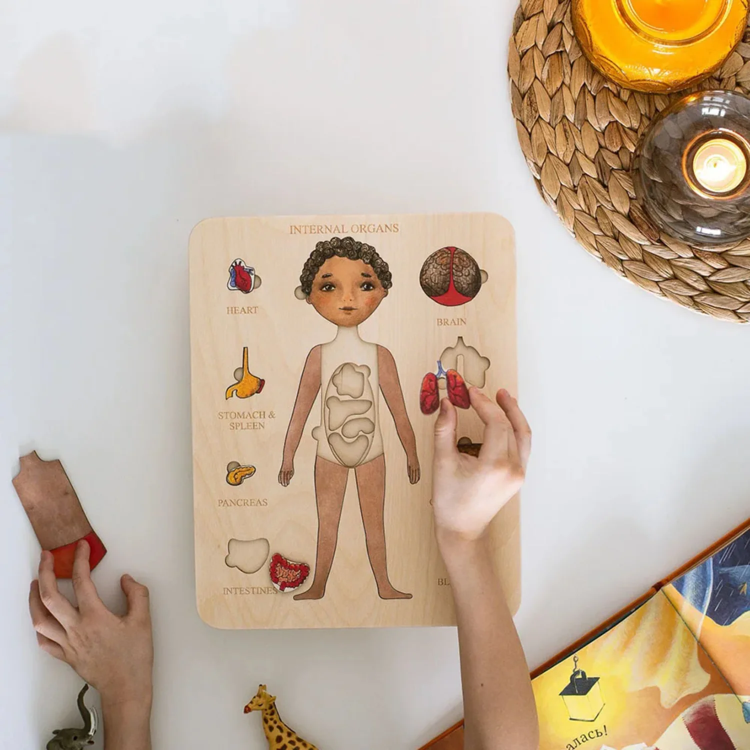 Human Body Puzzle - Montessori Houten Puzzel Man Vrouw Menselijke