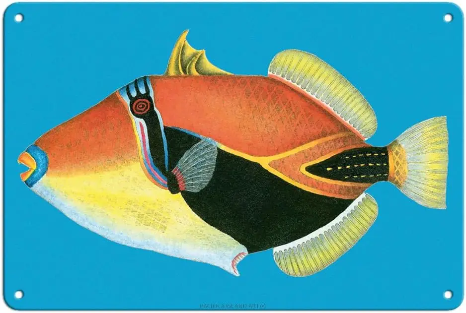 Pacifica Island Art humuhumunukunukuāpuaʻa - Hawaiian Trigger Fish - Vintage Colored Engraving by Steve Strickland - 8 x 12 inch