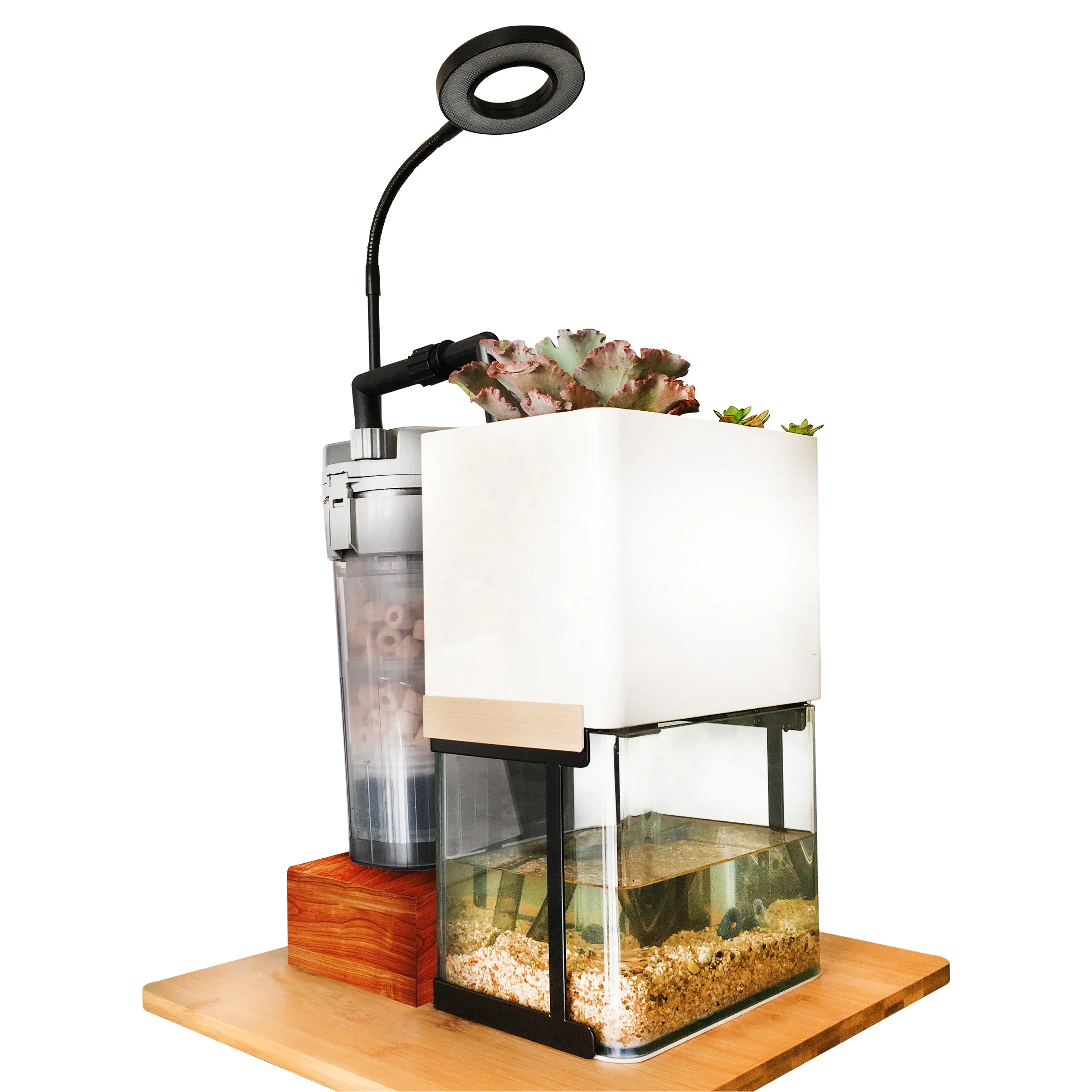 Freshwater Aquarium Fish Tank Full Set Small  Tank with aquaponics (size: medium)