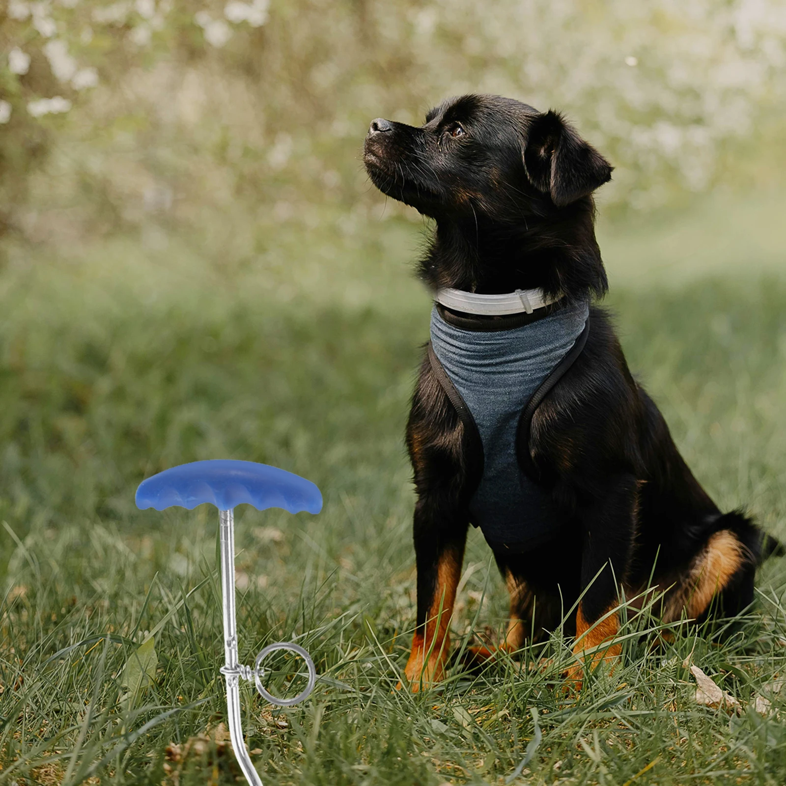 

Dog Tie-Out Stake leash anchor stake Pet Leash Stake Puppy Tie-Out Stake leash stake for dogs