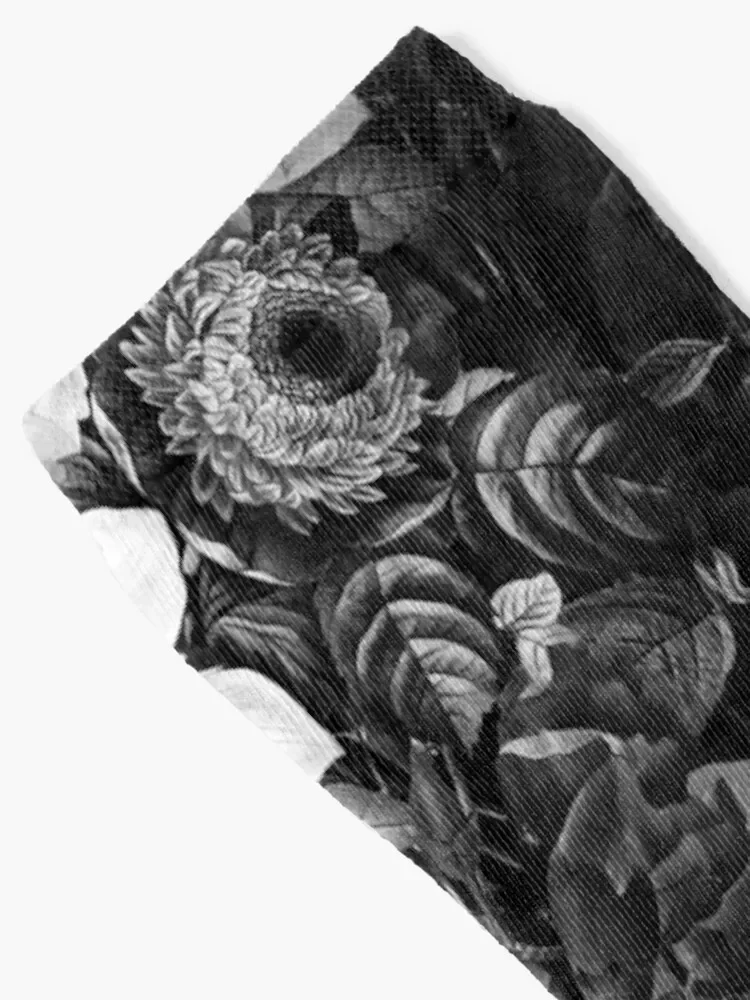 Black and White Garden Socks Men's Novelties Stockings compression luxe Socks Male Women's