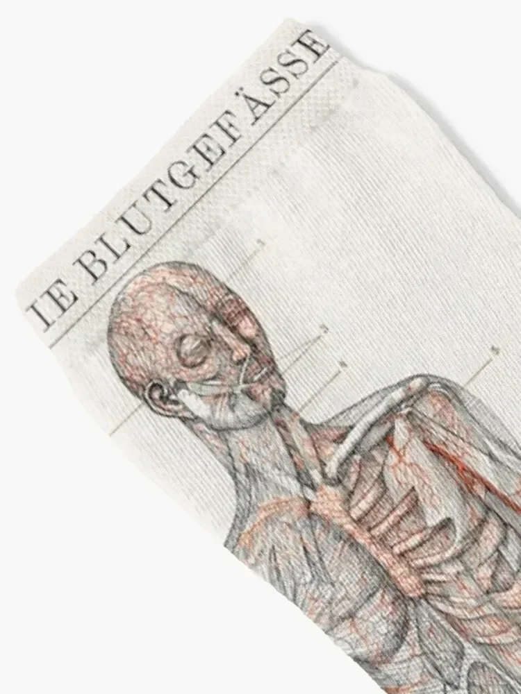 Casual look Socks Rugby basketball tennis cotton Socks Men's Women's