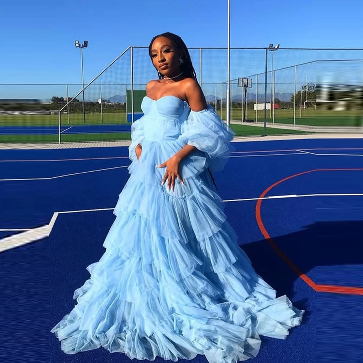 Light Sky Blue Swee…