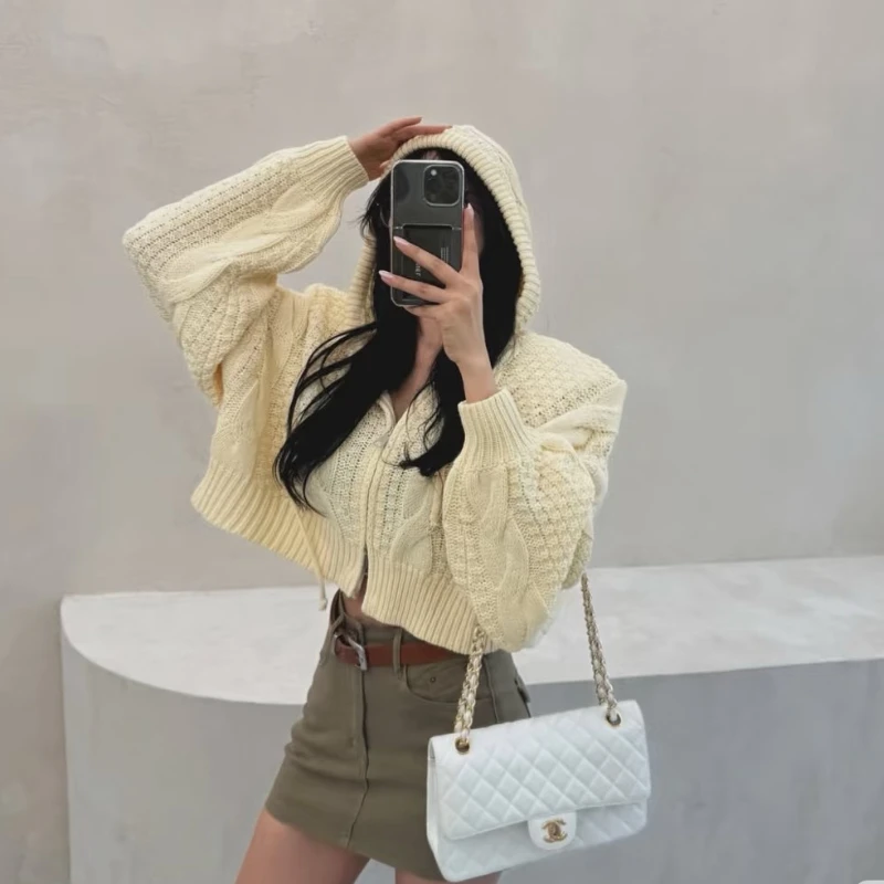 Autumn and Winter Fashion Hooded Zipper Korean Cardigan Sweater Women's Long-sleeved Knitted Casual Short Oversized Style