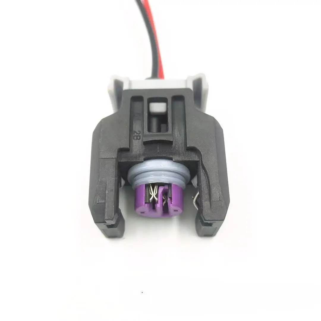 

2 контакта для дизельного двигателя common rail Del-phi EFI инжектор H5H6, разъем сопла для Bu-ick Great-Wall 13816706 с проводом