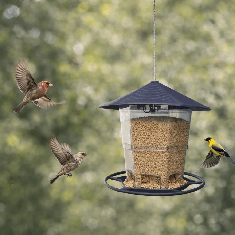 

Feeding Tool Folding Hanging Bird Feeder Waterproof Large Capacity Bird Food Dispenser Bite Resistant Bird Feeder Tray Patio