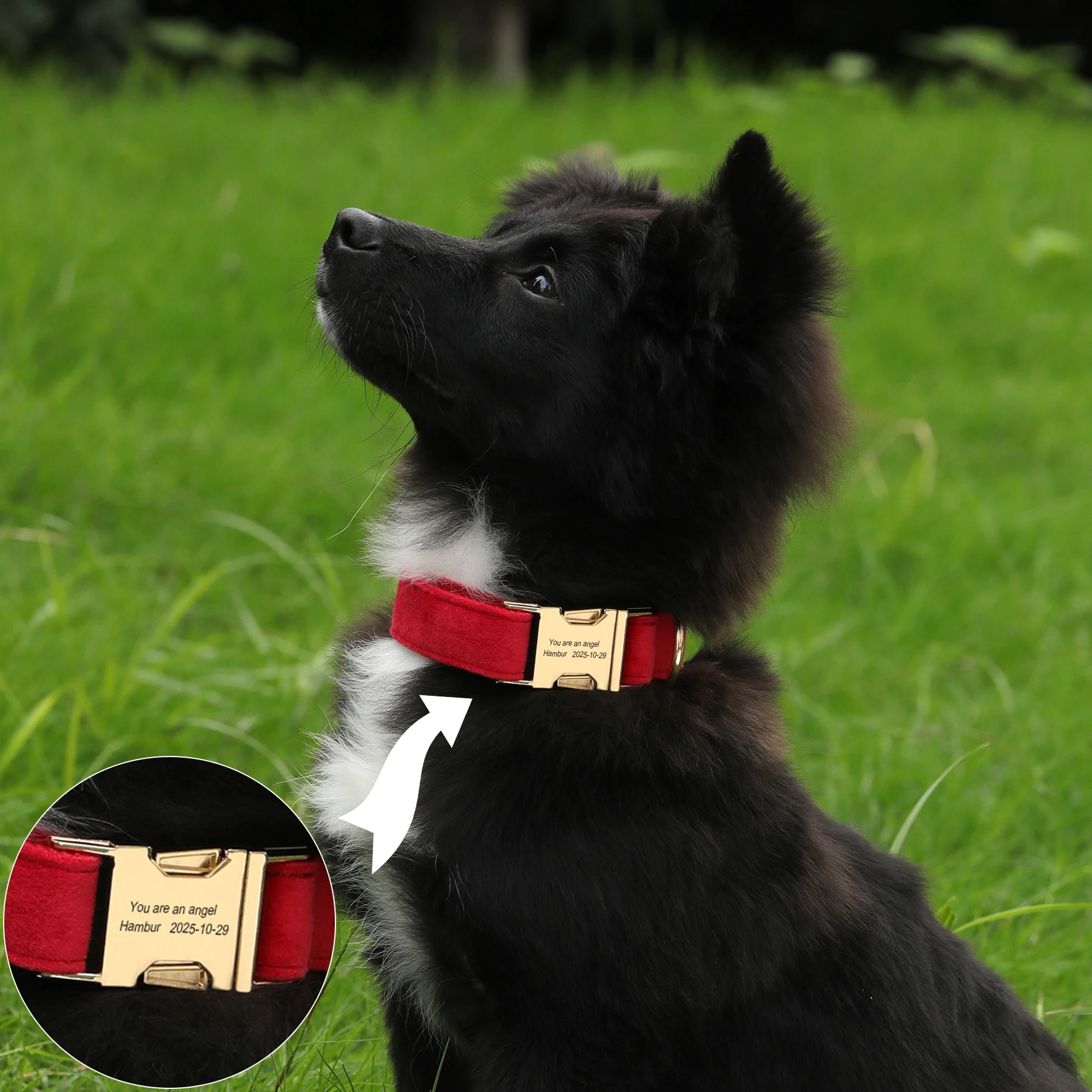 

Резные утолщенные бархатные ошейники для собак, позолоченные металлические роскошные ошейники для щенков, каждый заказ поставляется с красивым подарком