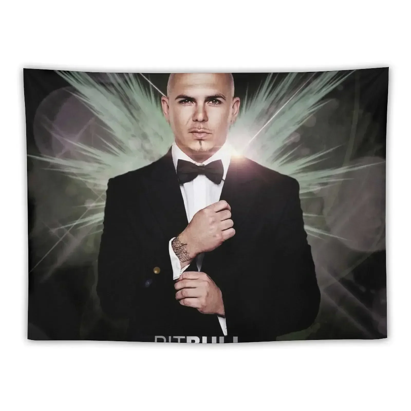 

Pitbull Mr.Worldwide Tapestry Bedroom Decor Aesthetic Room Decor Tapestry