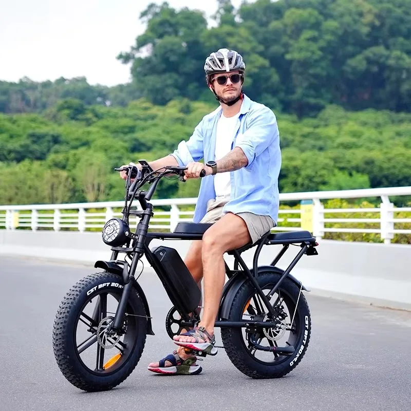 

Электрический горный велосипед Ebike 1000 Вт Электрический велосипед Электрический велосипед с шинами 20 дюймов Mtb с двойной батареей Ebike