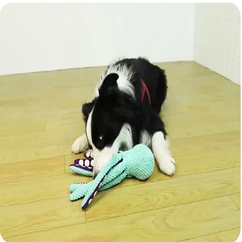 Pluszowa zabawka dla psa w ksz – Snuffle Mat For Dogs recenzja i cena