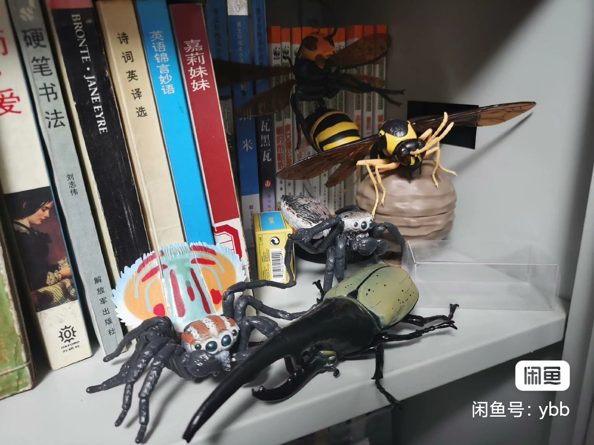 Bandai ของแท้สารานุกรมชีวภาพของเล่น Gashapon นกยูงแมงมุมจําลองแมลง Action ชุดตกแต่งของเล่นสร้างสรรค์