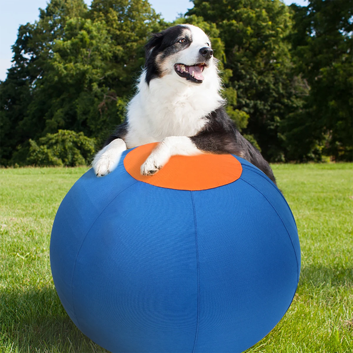 Outdoor Dog Toy Inflatable Big Ball Interactive Games Balls Pet Golden Relieve Fretful Boredom Country Dog Corgi Training Ball