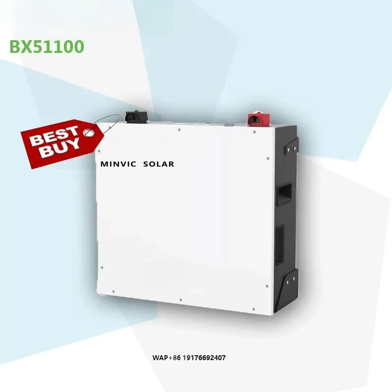

Dyness BX51100 51.2V 100AH 5.12kWh Low Voltage Dyness Lithium Battery LiFePO4 Battery for House Solar System