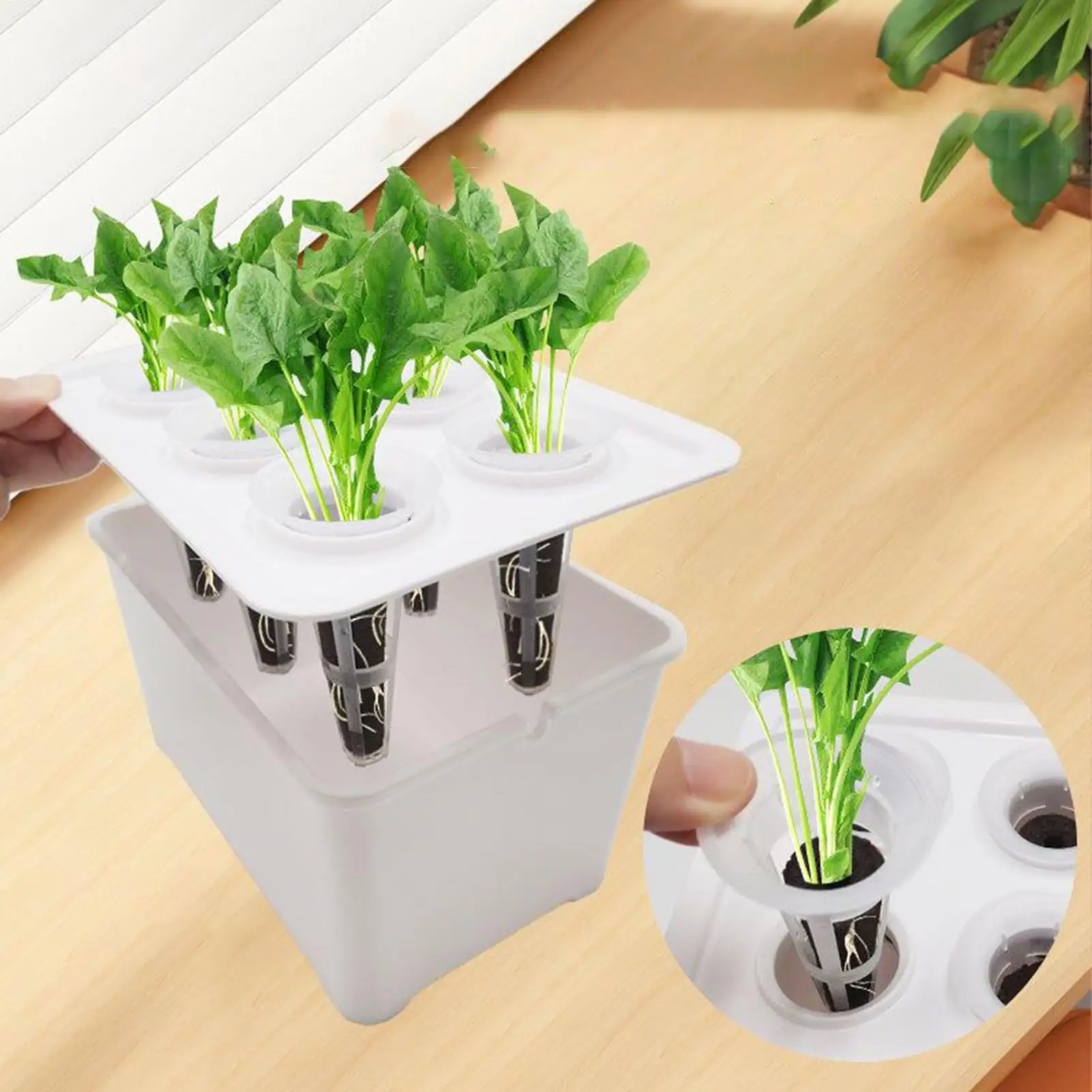 نظام الزراعة المائية 6 فتحات نظام زراعة الخضروات صندوق زراعة للخضروات والزهور والفواكه والحديقة الداخلية والخارجية #2